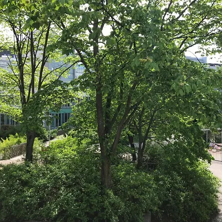 Kamppi *
